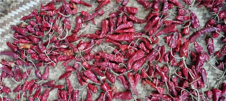 5f5d73191ed38.jpg bac52262eb743e4dc220f59a9296f84.jpg